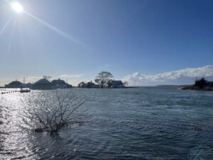 Chasing Tides: How to Time Your Saltwater Fishing for Maximum Action
