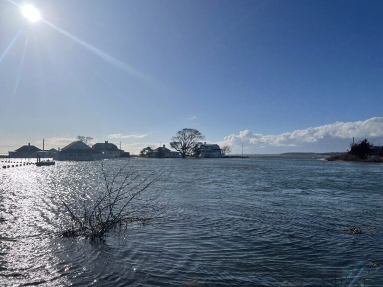 Chasing Tides: How to Time Your Saltwater Fishing for Maximum Action