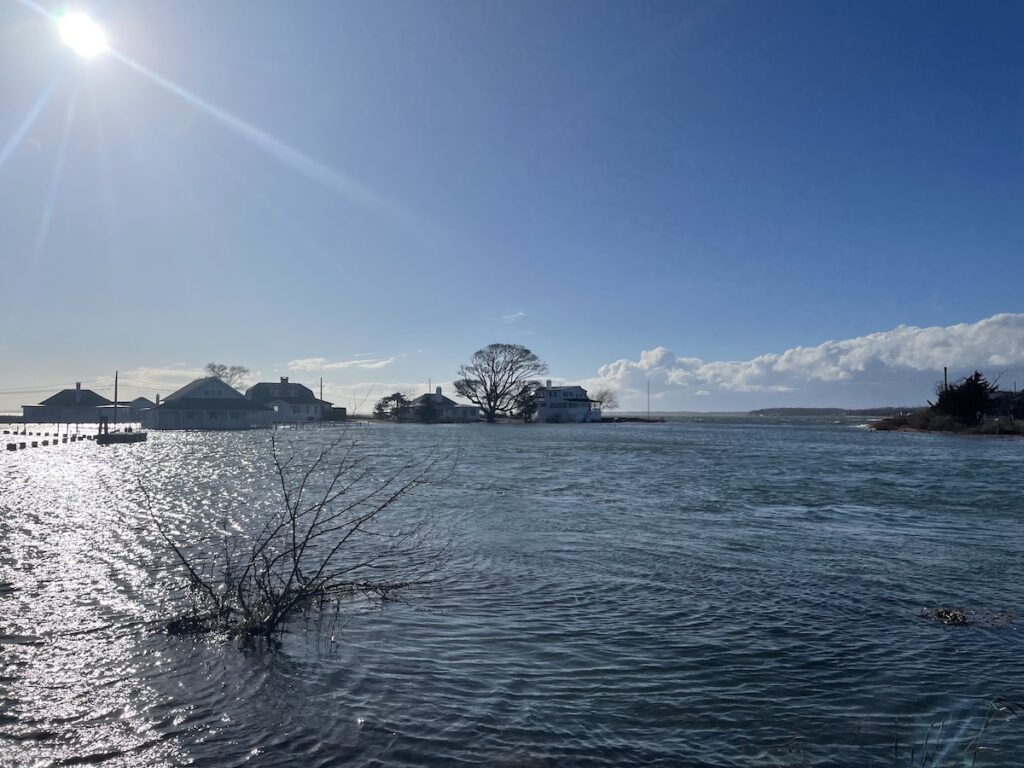 Chasing Tides: How to Time Your Saltwater Fishing for Maximum Action