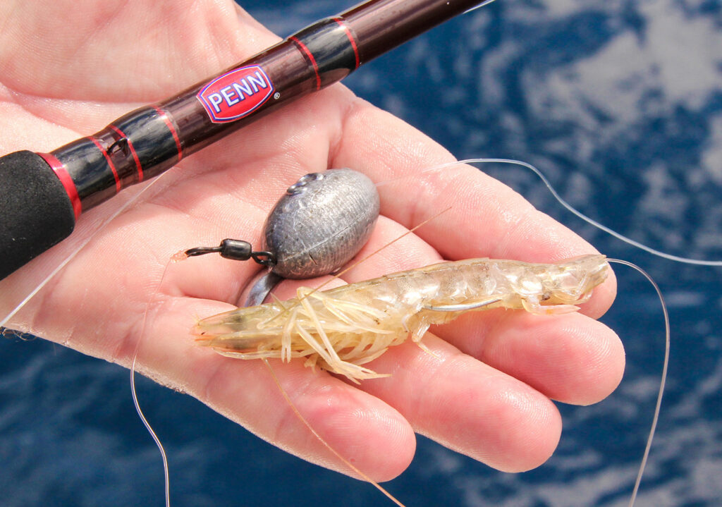 Best Natural Baits for Saltwater Fishing