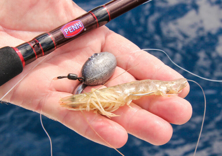 Best Natural Baits for Saltwater Fishing