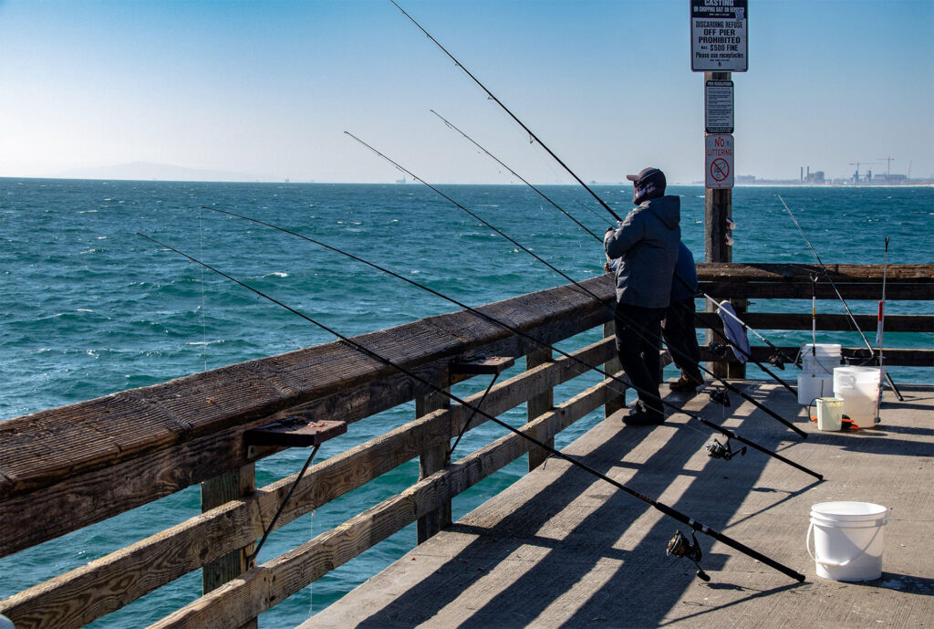 Best Pier Fishing Locations in the U.S.