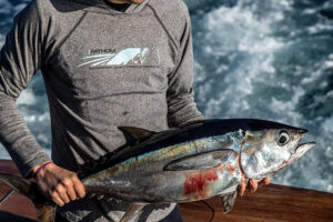 How to Troll for Tuna Effectively