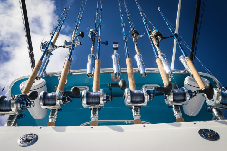 Rods vs. Reels: What to Spend More On?