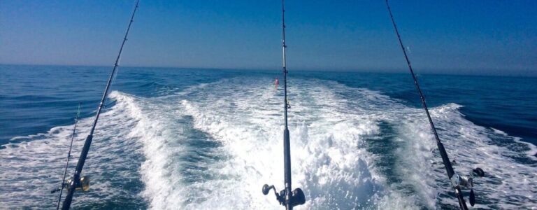 The Ultimate Guide to Inshore vs Offshore Saltwater Fishing: What You Need to Know